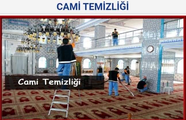 Mar İlaçlama Temizlik